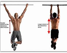 Image result for Push-Up Exercise Muscles