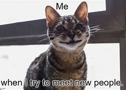 Image result for New People Meme