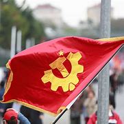 Image result for Communist Turkey Flag