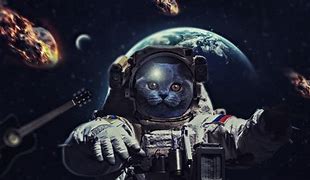 Image result for Space Cat Wallpaper 4K UHD