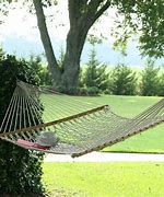 Image result for hammock
