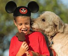 Image result for Disney Up Dog