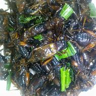 Image result for Cricket Food