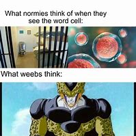 Image result for Cell Count Meme