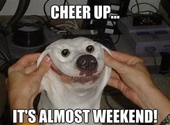 Image result for Hilarious Weekend Meems