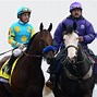Image result for Breeders' Cup Classic Xxii Winner