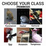 Image result for Who Would You Pick Out of These Three People Meme