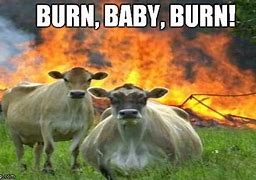 Image result for Burn Baby Burn Meme