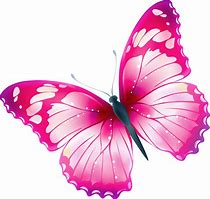 Image result for Pink Butterfly Landing Clip Art