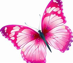 Image result for Pink Butterfly Outline Clip Art