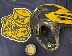 Image result for Hockey Helmet Fit