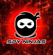 Image result for Spy Ninjas YouTube Videos