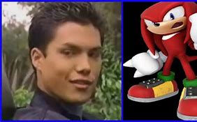 Image result for Knuckles the Echidna Beach