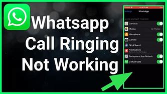 Image result for Whats App Calls Not Ringing