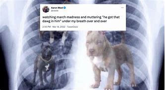 Image result for He Got That Dawg in Him Meme