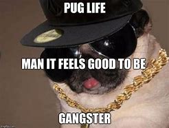 Image result for Gangster Meme Profile Pic