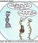 Image result for Corny DNA Biology Jokes