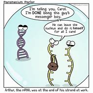 Image result for Funny Genetics Memes