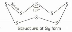 Image result for S8 Structure