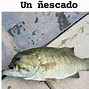 Image result for Gangoso Meme Español