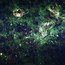 Image result for What Is the Center of the Milky Way