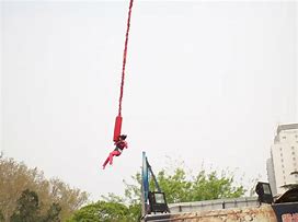 Image result for Reels Bungee