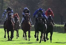 Image result for Horse Race Day GIF