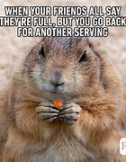 Image result for Animal Movie Memes Funny