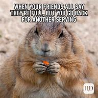 Image result for Office Work Funny Memes Animals
