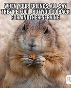 Image result for Hiliarious Animal Memes
