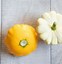 Image result for Summer Squash Types