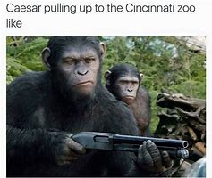 Image result for Planet of the Apes Meme CS:GO