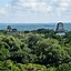 Image result for Mayan City of Tikal