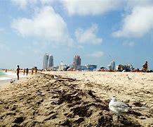 Image result for Miami Beach Scenes in Summer