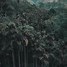 Image result for Nature Profile Background