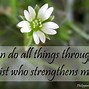 Image result for Christian Quotes From the Bible