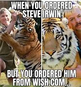 Image result for Funny Steve Animal Meme