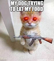 Image result for Cute Cat Food Memes