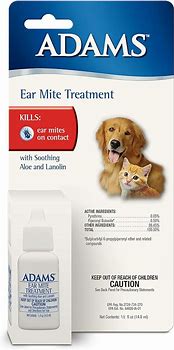 Image result for Dog Ear Mites