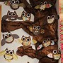 Image result for Kindergarten Owl Bulletin Boards