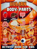 Image result for Human Body Parts Worksheets for Kids