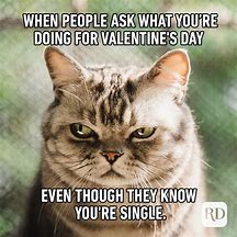 Image result for Valentine's Day Funny Pics