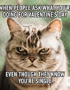 Image result for Valentine's Day Single Meme