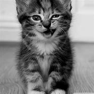 Image result for Cute Kindle Fire Wallpaper