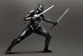 Image result for Martial Arts Armor