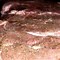 Image result for Hickory Smoked Pork Chops