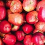 Image result for Organic Apple Producer