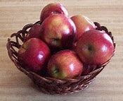 Image result for Apple Tree Basket