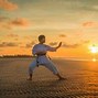 Image result for Best Martial Artist in the World