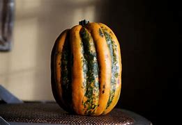 Image result for Pumpkin Type Squash